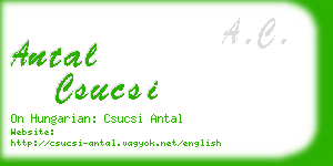 antal csucsi business card